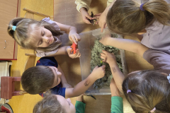 WhatsApp-Image-2026-02-26-at-18.13.16-1