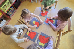 WhatsApp-Image-2026-02-26-at-18.13.17-7