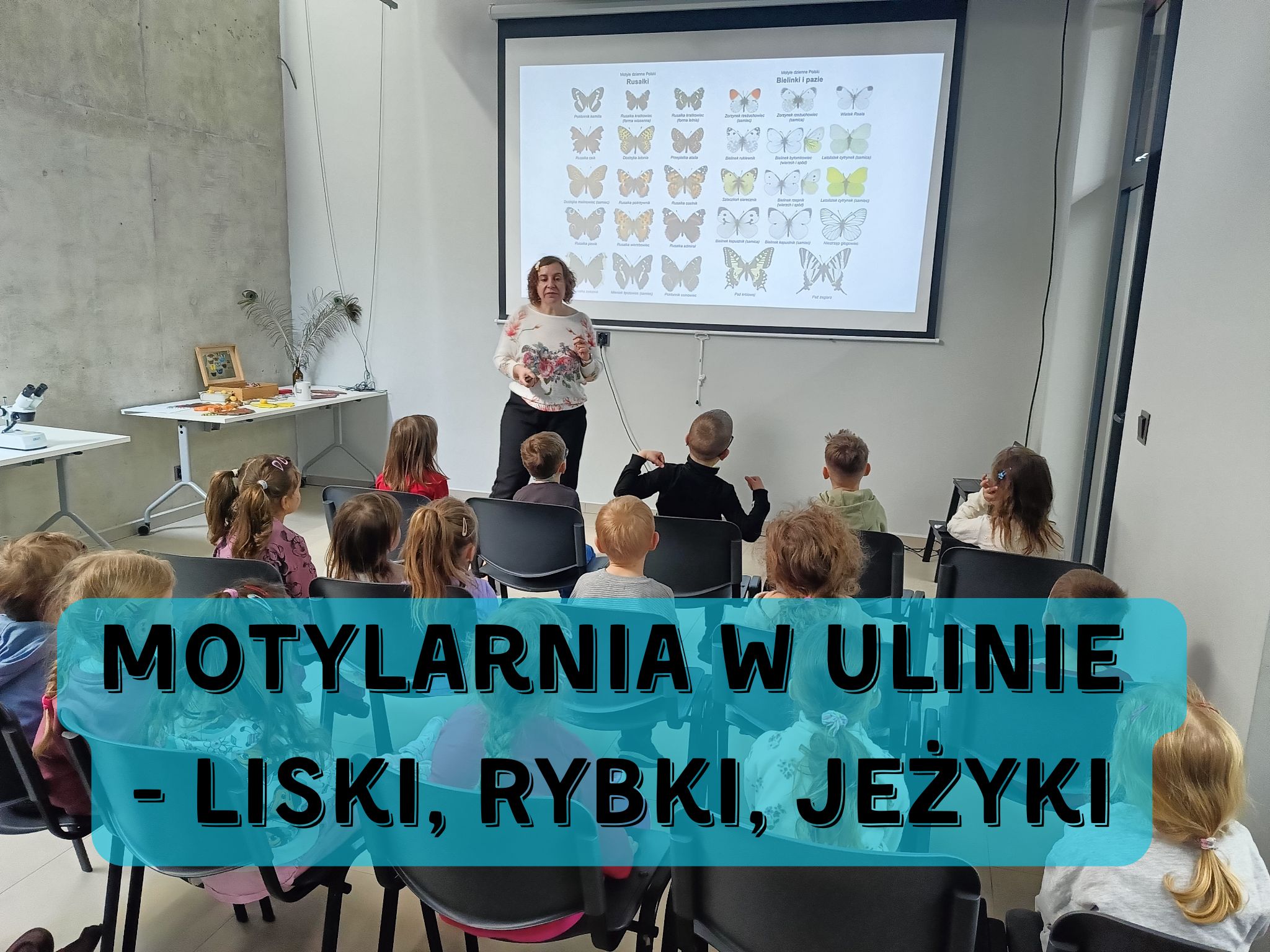 Motylarnia w Ulinie – Liski, Rybki, Jeżyki