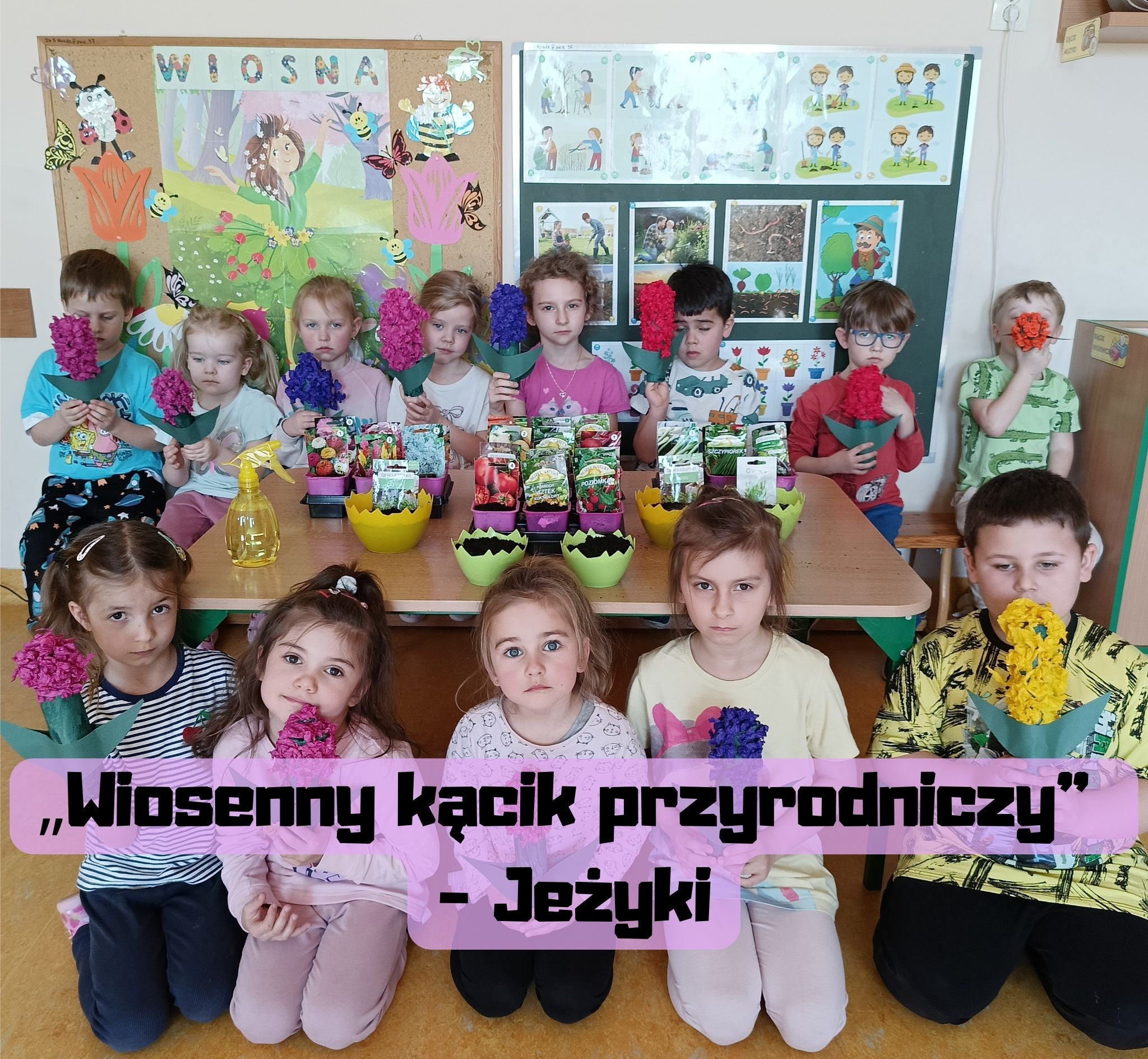 „Wiosenny kącik przyrodniczy” – Jeżyki