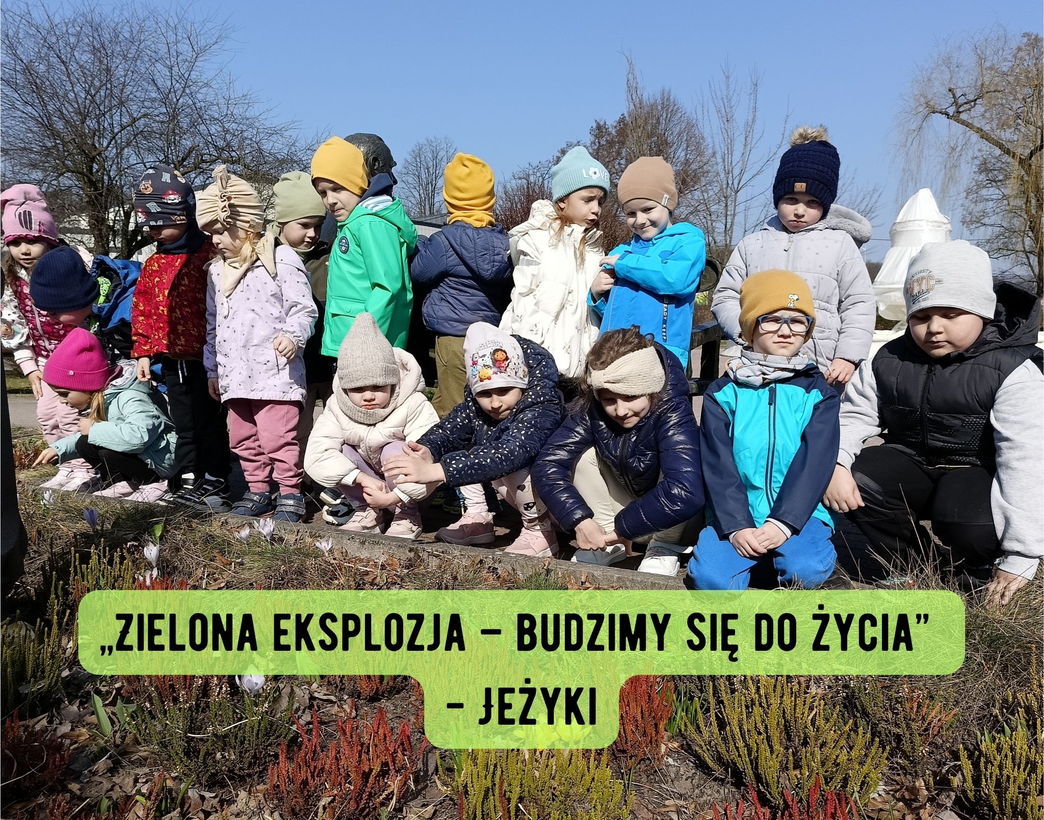 „Zielona eksplozja – budzimy się do życia” – Jeżyki